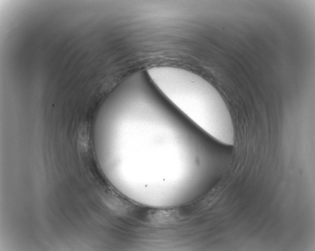 X0000066090129200603101013