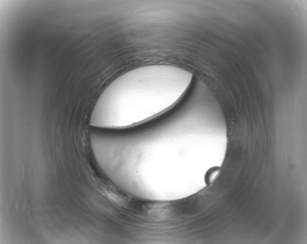 X0000066090132200603101013