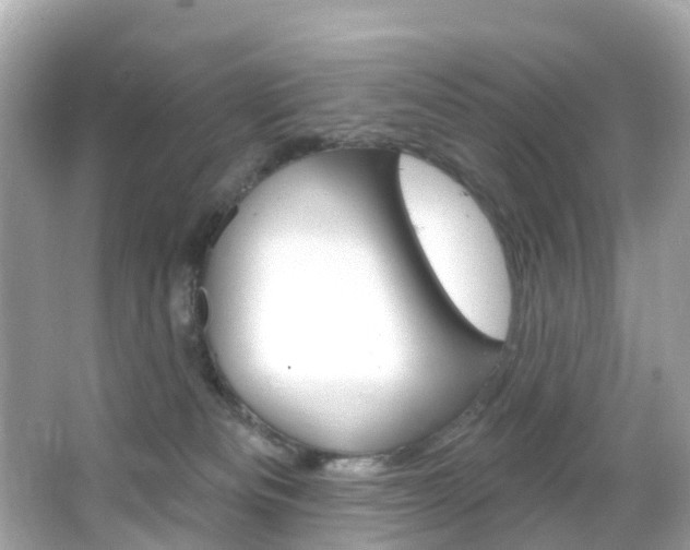 X0000066090133200603101013