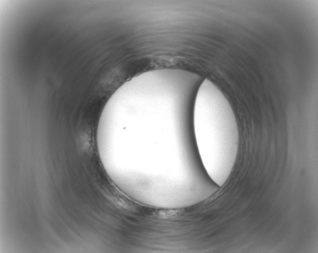 X0000066090134200603101013