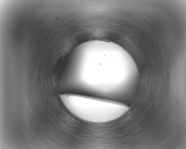 X0000066090135200603101013