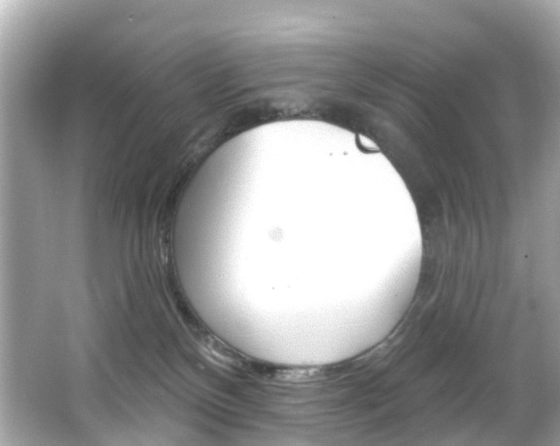 X0000066090136200603101013