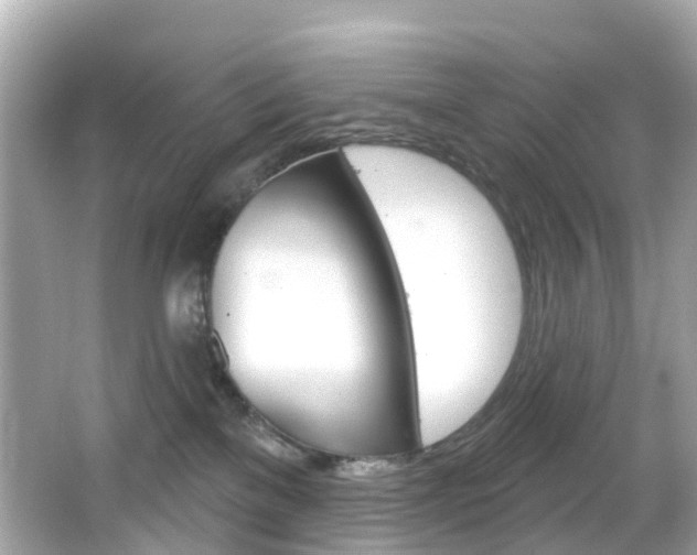 X0000066090137200603101013