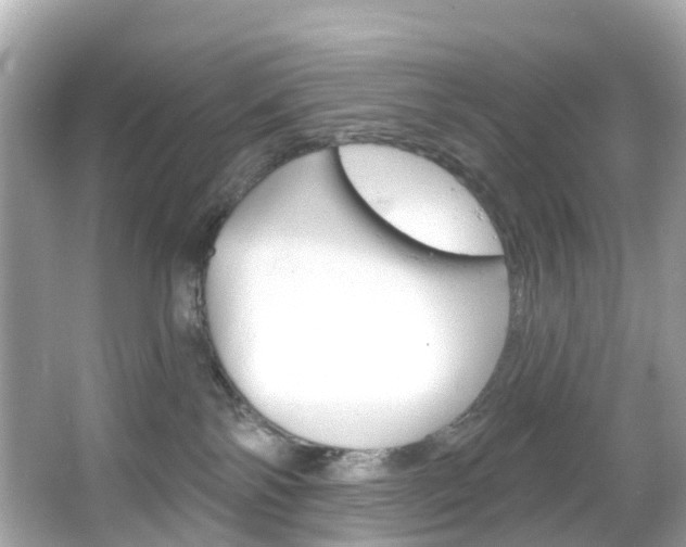 X0000066090138200603101013