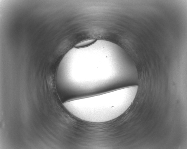 X0000066090139200603101013