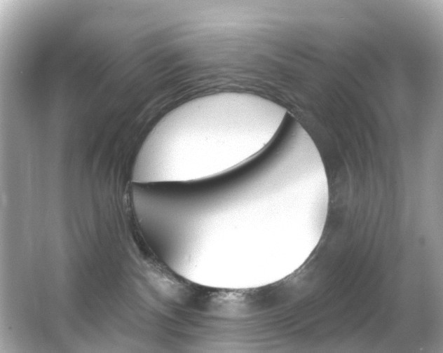 X0000066090140200603101013