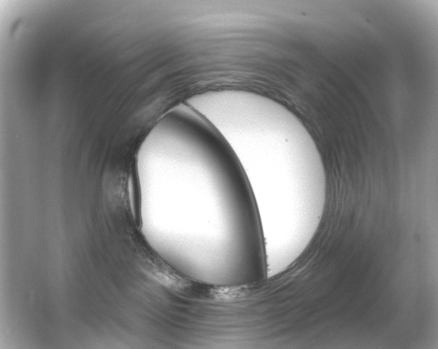 X0000066090141200603101013