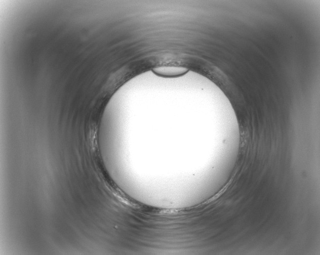 X0000066090142200603101013