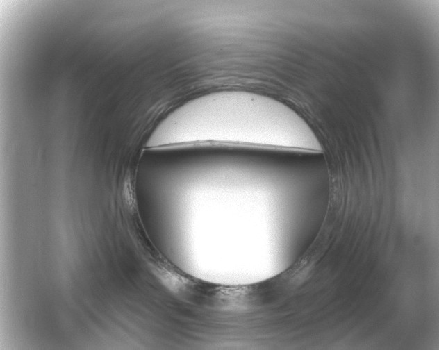 X0000066090143200603101013