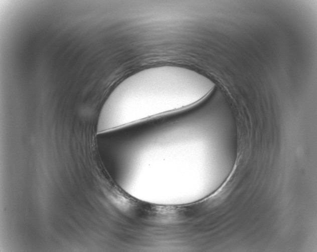 X0000066090144200603101013