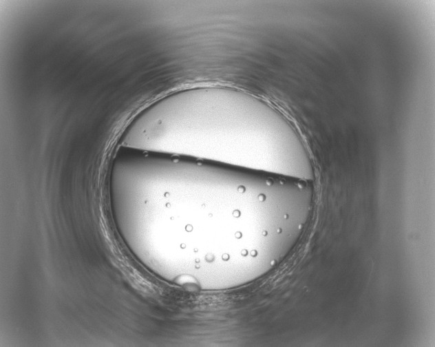 X0000066090145200603101012