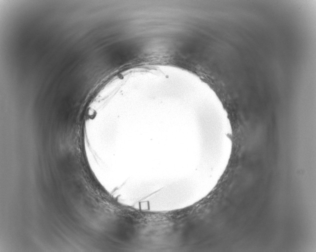 X0000066090146200603101012