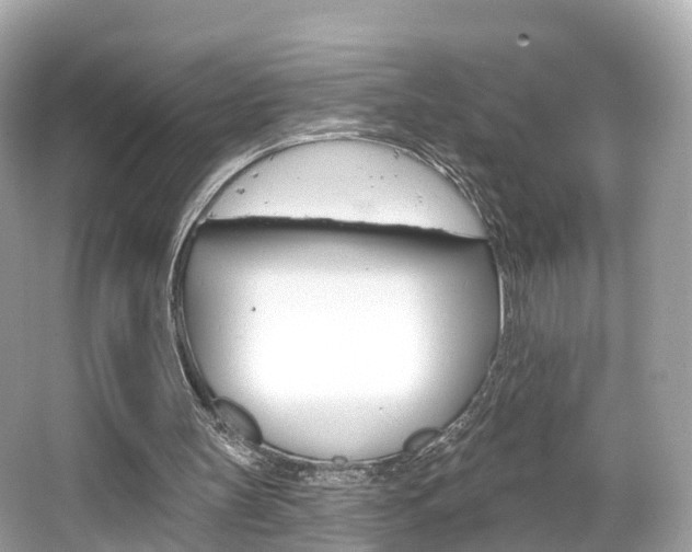 X0000066090147200603101012