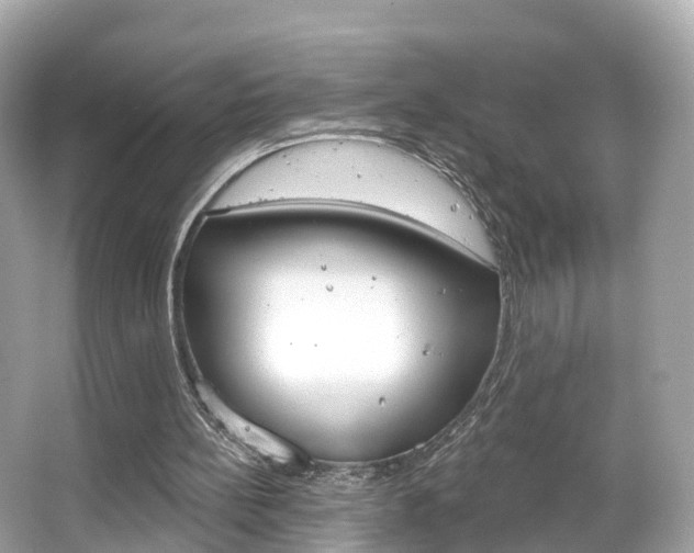 X0000066090148200603101012