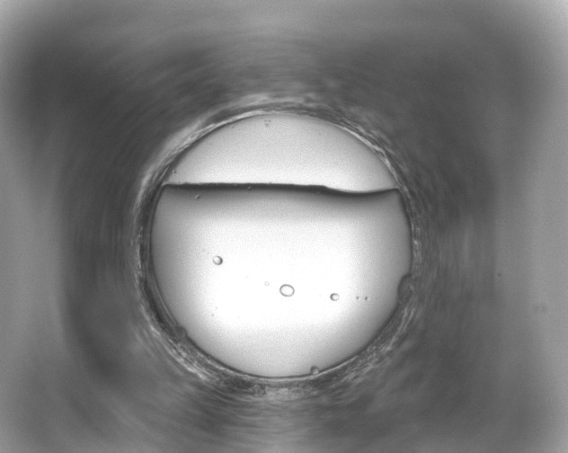 X0000066090149200603101012