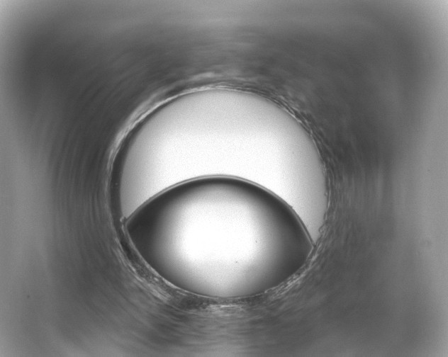 X0000066090150200603101012