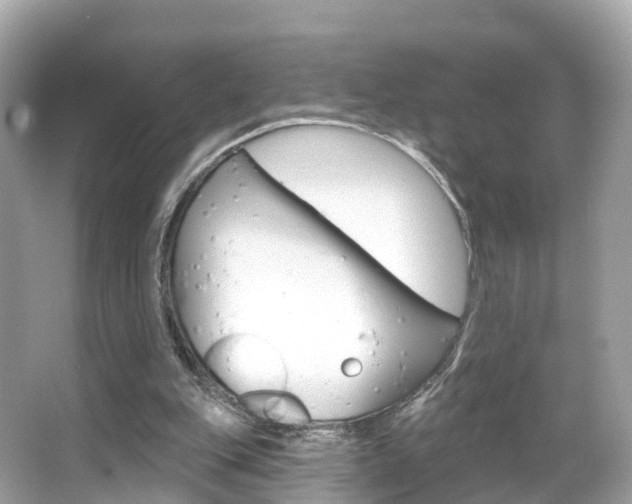 X0000066090151200603101012