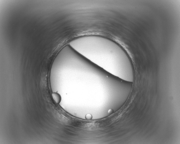 X0000066090153200603101012