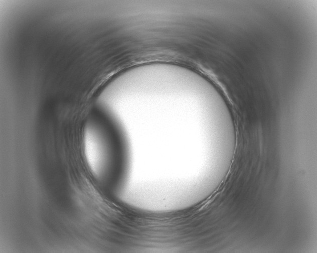 X0000066090154200603101012