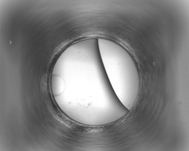 X0000066090155200603101012