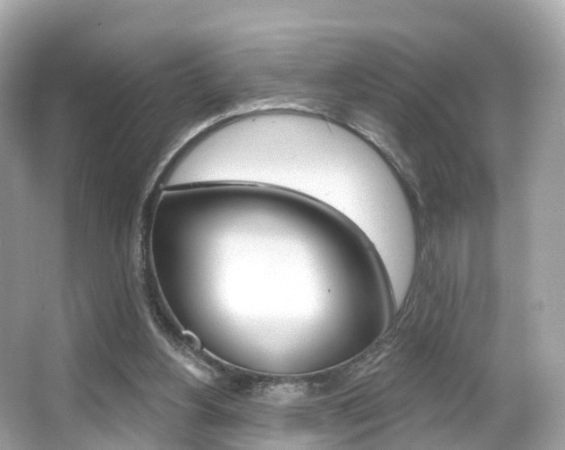 X0000066090156200603101012