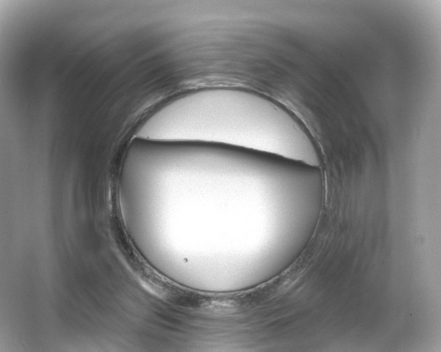 X0000066090157200603101012