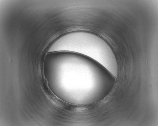 X0000066090158200603101012