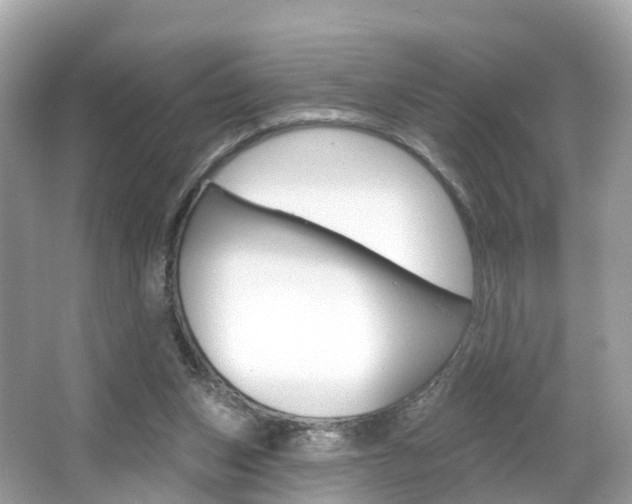 X0000066090159200603101012