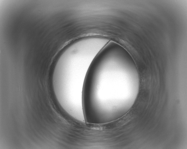 X0000066090160200603101012