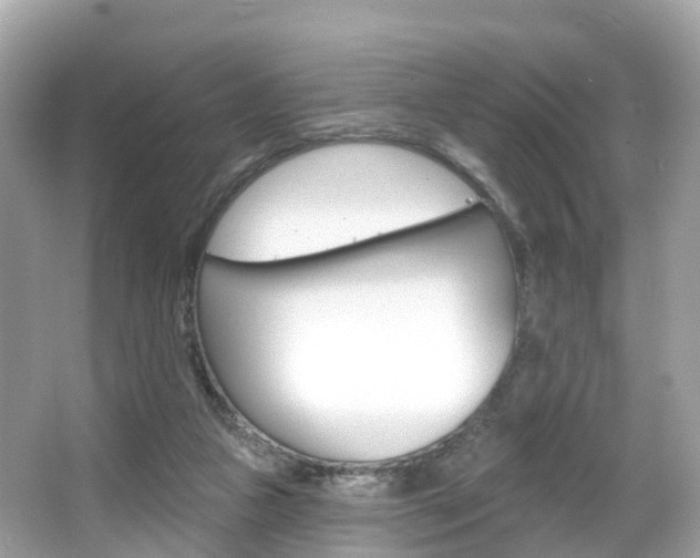 X0000066090161200603101012