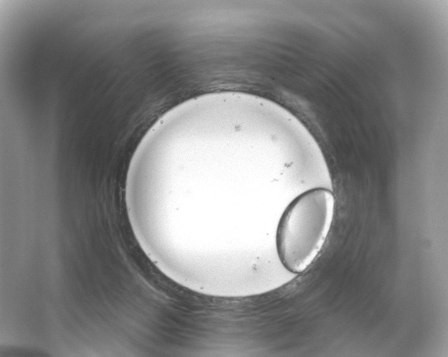 X0000066090162200603101012