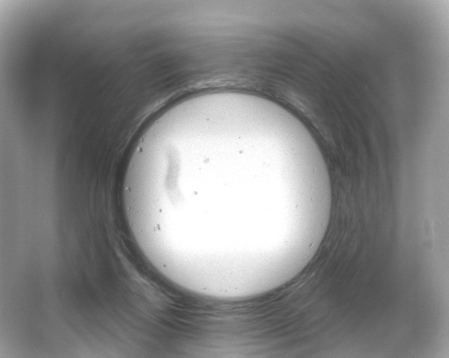 X0000066090164200603101012