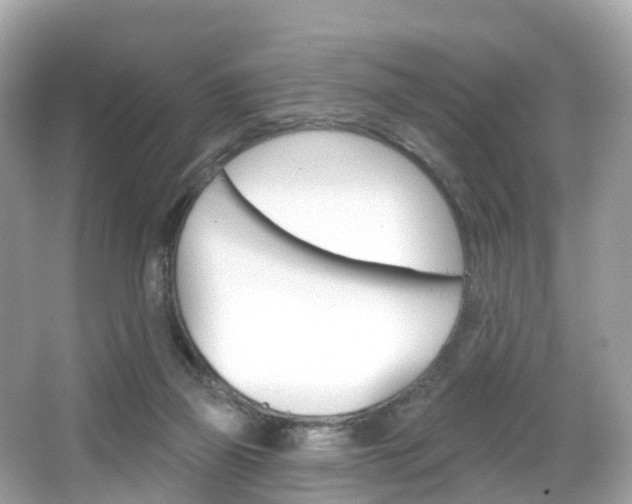 X0000066090165200603101012