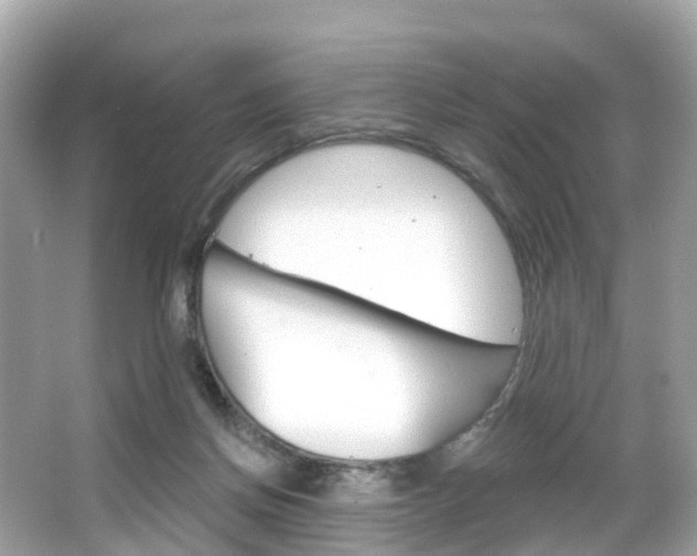 X0000066090166200603101012