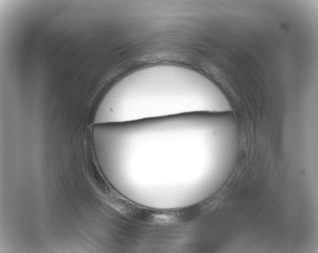 X0000066090167200603101012