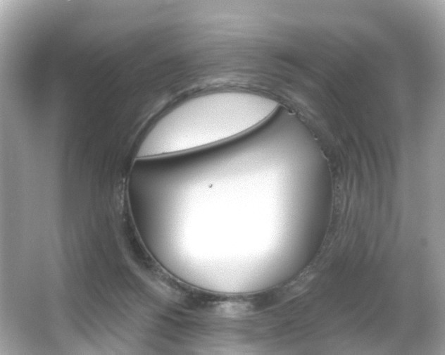 X0000066090168200603101012