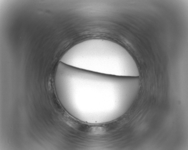 X0000066090169200603101012