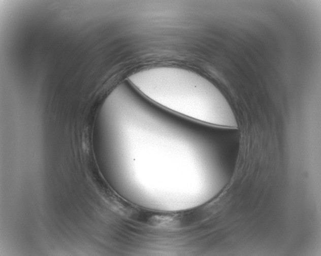 X0000066090170200603101012