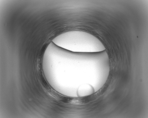 X0000066090171200603101012