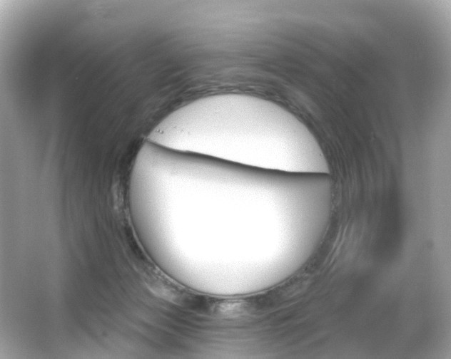 X0000066090173200603101012