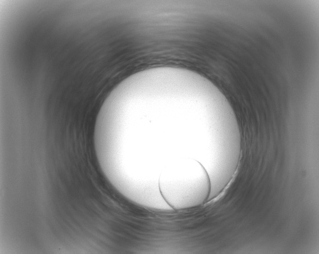 X0000066090174200603101012