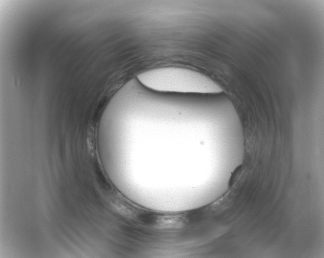 X0000066090175200603101012