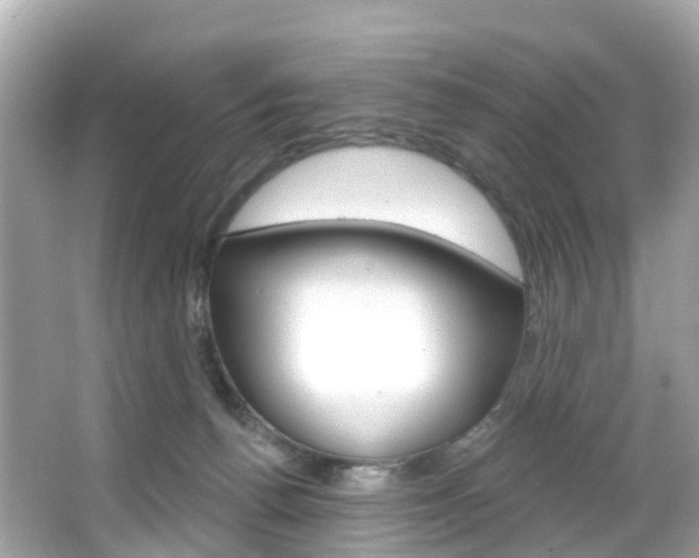 X0000066090176200603101012