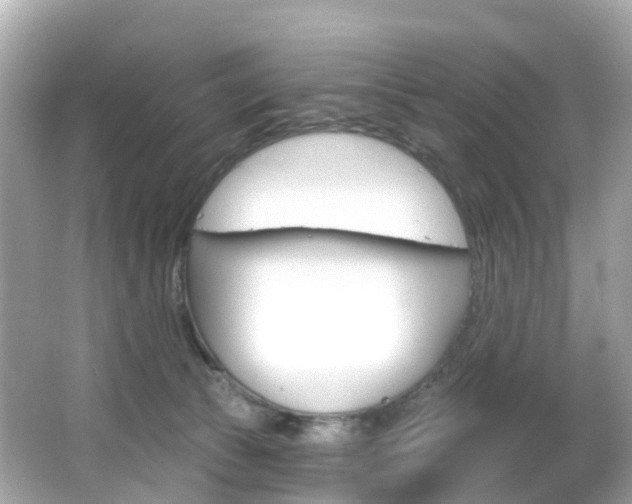 X0000066090177200603101012