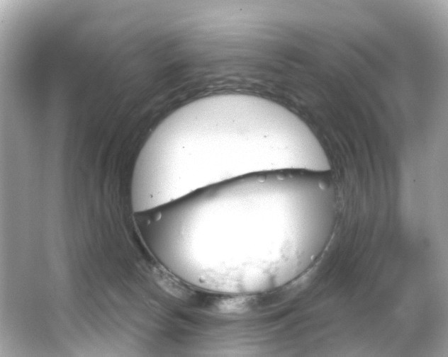 X0000066090178200603101012