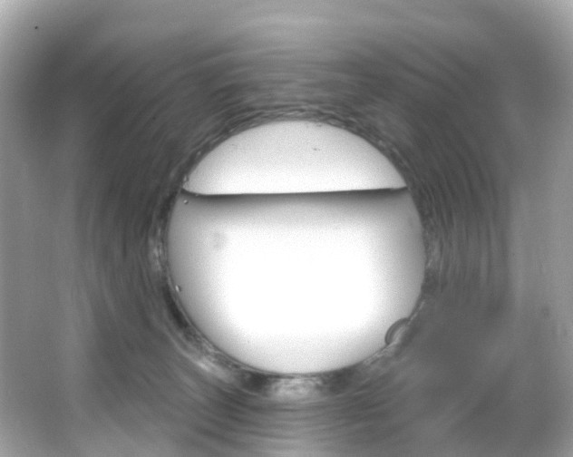 X0000066090179200603101012