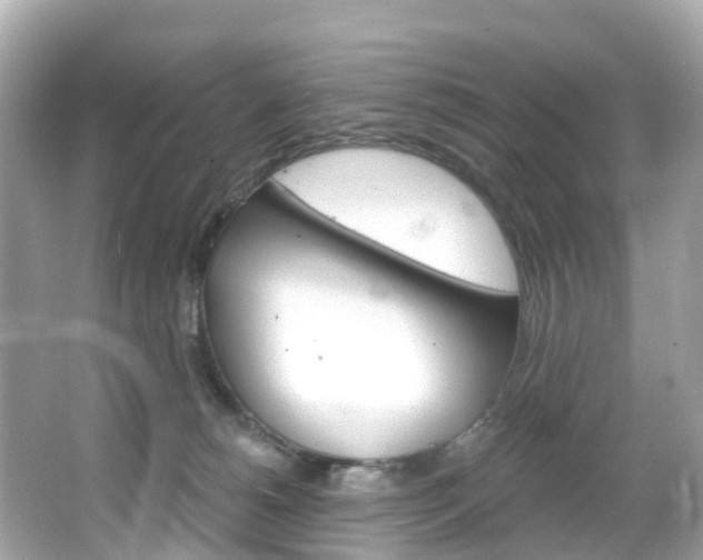 X0000066090180200603101012