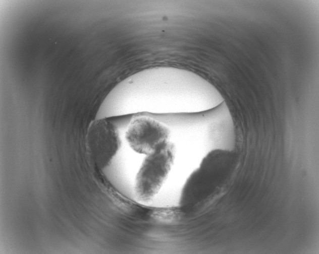 X0000066090181200603101012