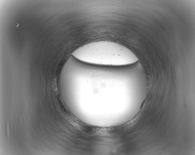 X0000066090182200603101012