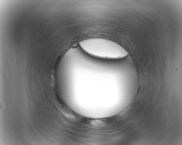 X0000066090183200603101012